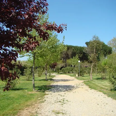 Kemp Cap Sud Alénya