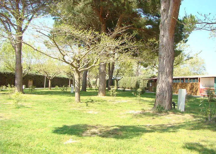 キャンプ場 Cap Sud 3*
